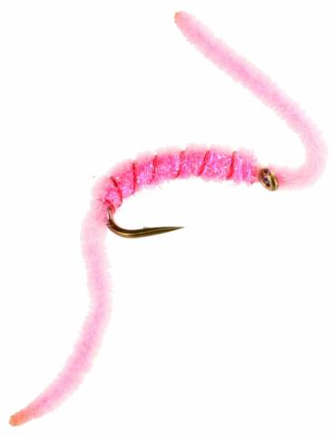 Bjorn's Last Chance Worm