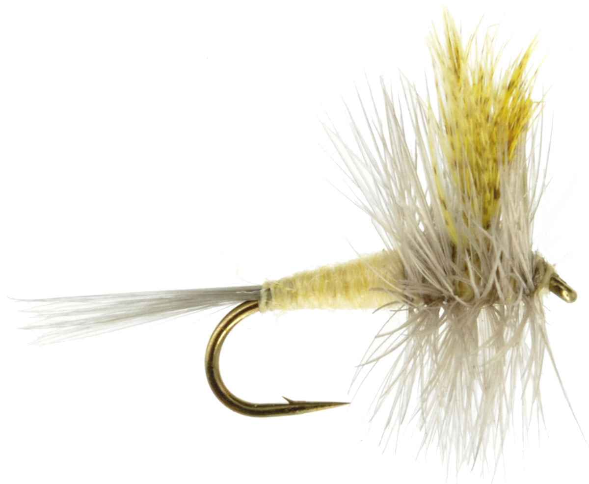 Hendrickson Fly Pattern Cool Inspiration Ideas Hendrickson Fly Pattern Cool Inspiration Ideas