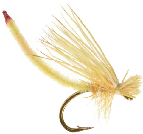 Li'l  Yellow Stonefly