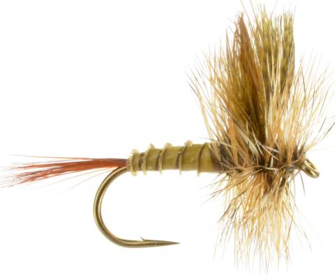 March Brown - Western
