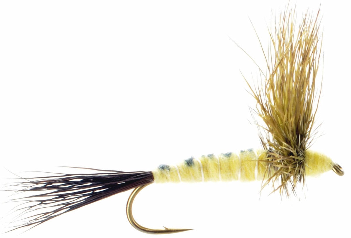 www.discountflies.com