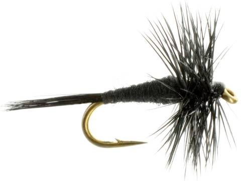 Midge - Black