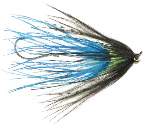 Mini Intruder - Black & Blue