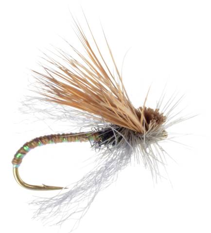Missing Link Caddis