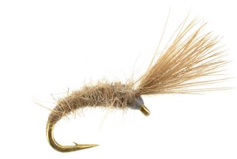 Mole Fly Emerger