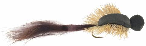 Morrish Mouse
