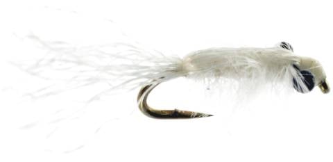 Mysis Shrimp