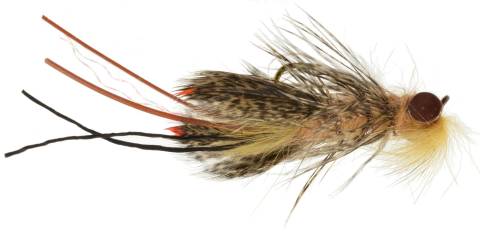 Near 'Nuff Crawfish - Tan