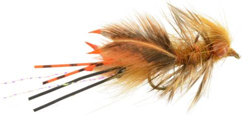 Near Nuff Crayfish - Golden Brown