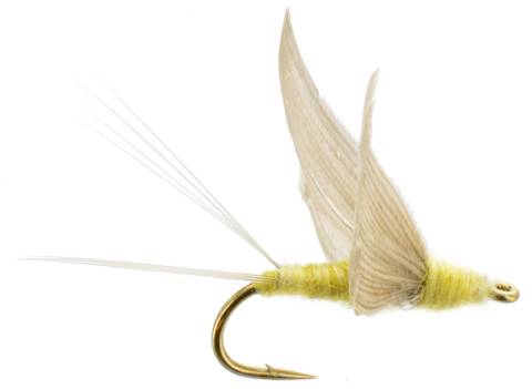 No Hackle PMD