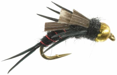 North Fork Special - Black