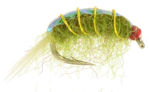 Original Bighorn Scud - Olive