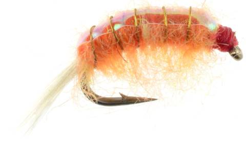 Original Bighorn Scud - Orange