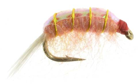 Original Bighorn Scud - Pink