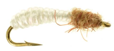 Otters Black Fly Larva