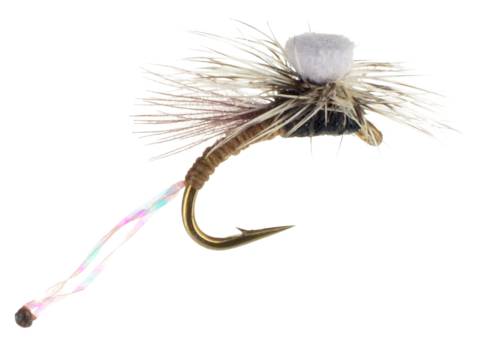 Para-Midge