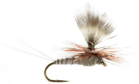 Parachute Adams Winger