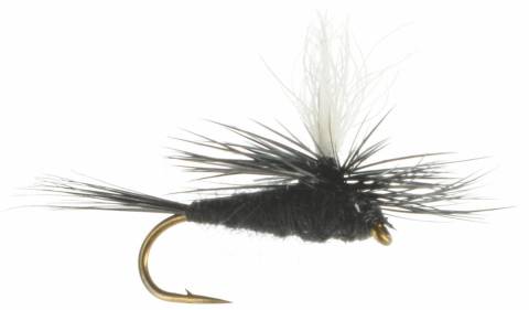 Parachute Black Gnat