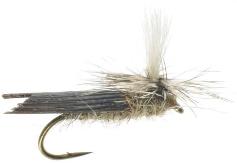 Parachute Caddis