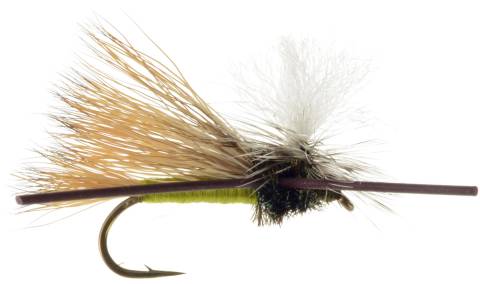 Parachute Madam X - Olive