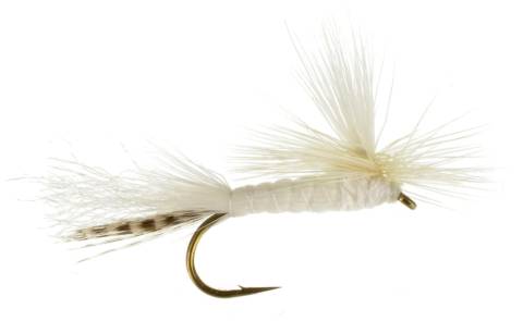 Parachute White Fly