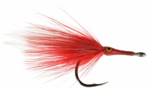 Paradise - Red and White