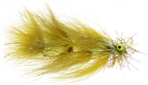 Peanut Candy - Olive