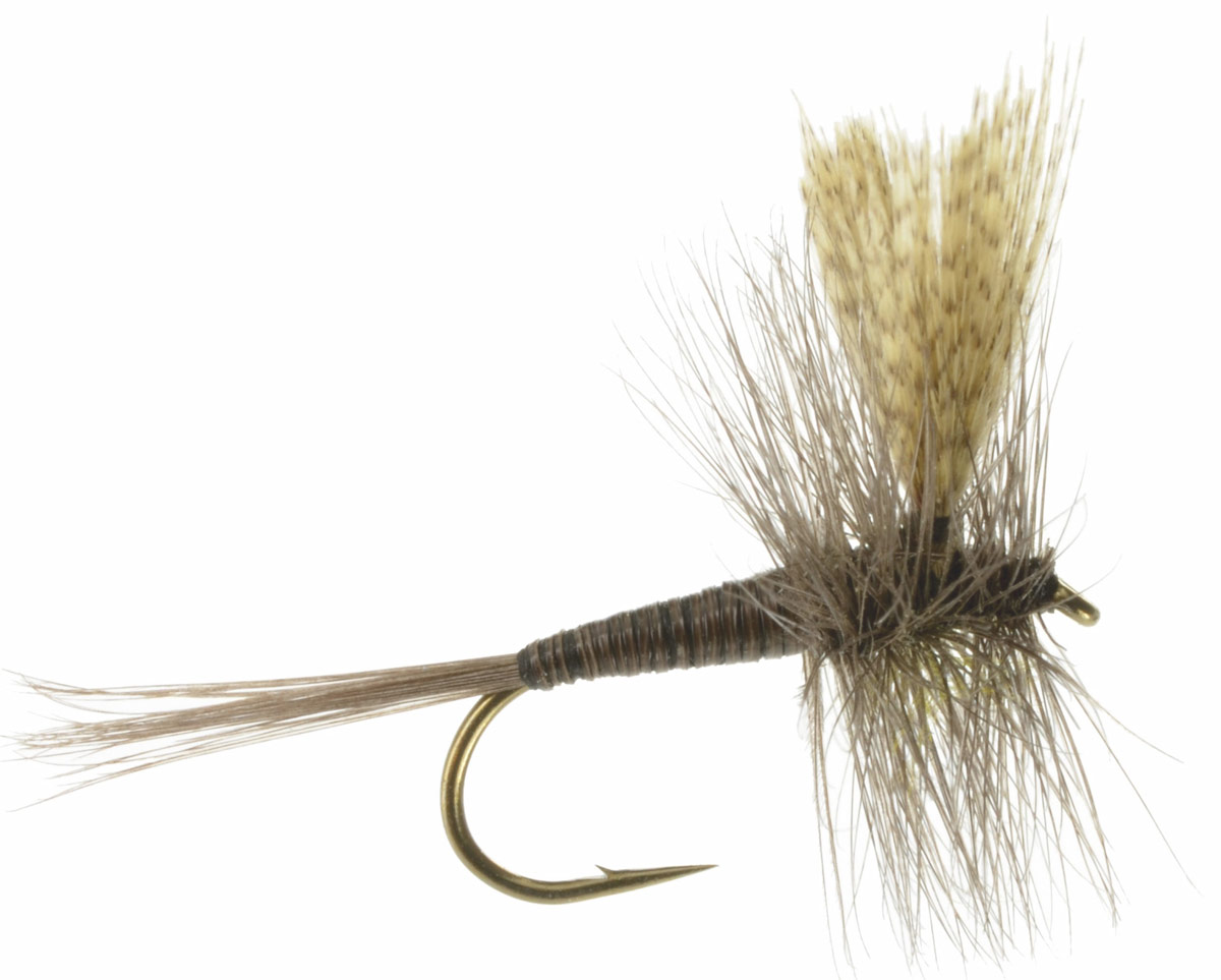 Quill Gordon Fly Fishing Flies For Less DiscountFlies Quill Gordon Fly Fishing Flies For Less DiscountFlies