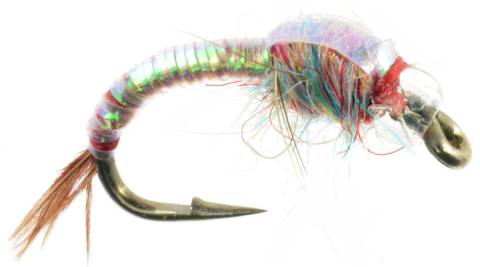 Rainbow Warrior - Pearl