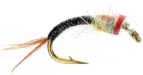 Rainbow Warrior - Black