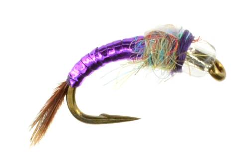 Rainbow Warrior - Purple