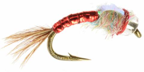 Rainbow Warrior - Red