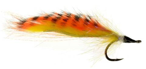 Rhetto's Yucatan Tarpon Tanga - Orange/Black & Yellow