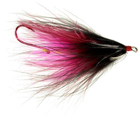 River Rat Squid - Black & Wine