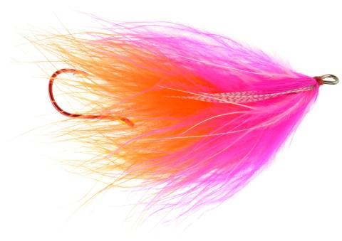 River Rat Squid - Pink & Orange