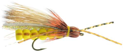 Rogue Golden Stonefly