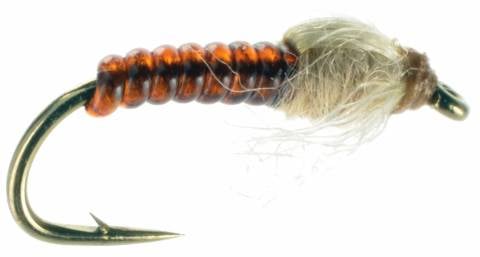 Root Beer Midge
