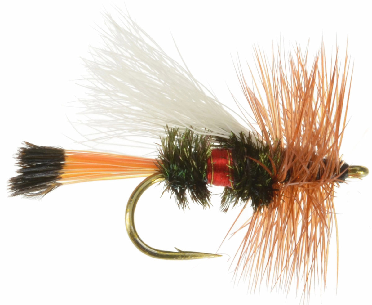 Trude - Royal Coachman, Fly Fishing Flies For Less