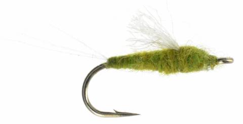 RS2 Olive