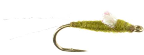 RS2 - Olive Sparkle Wing