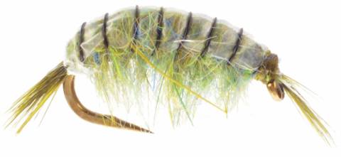 Scud Grey-Olive