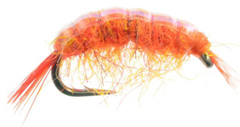 Scud - Orange
