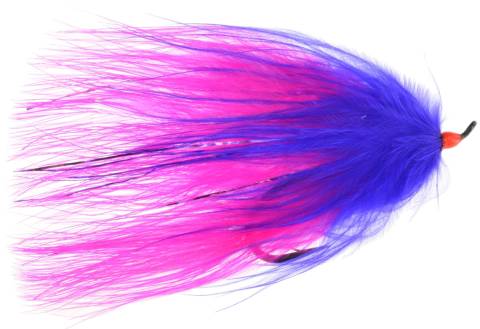 Showgirl