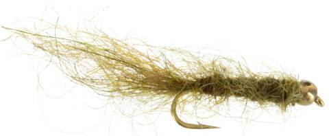Simi Seal Leech - Olive
