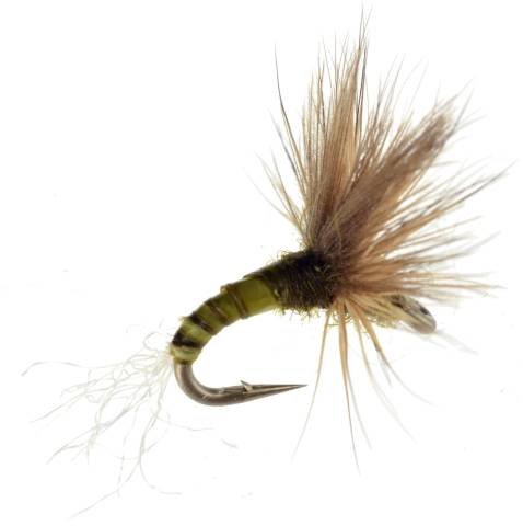 Sipper BWO