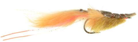 Slater's Uni-brow