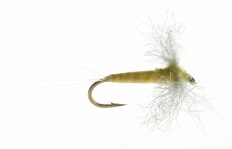Spinner - PMD CDC Biot