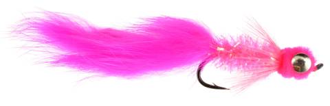 Starlight Leech - Pink