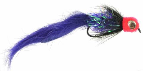 Starlight Leech - Purple