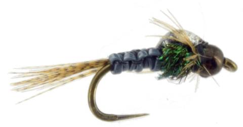 STD Baetis Pheasant Tail Dark - Tungsten Bead